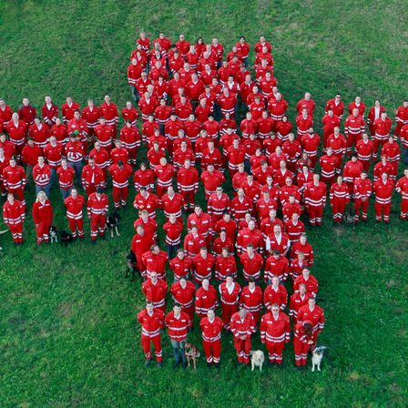 Bild enthält, People, Person, Team, Crowd, Huddle, Animal, Canine, Dog, Mammal, Pet