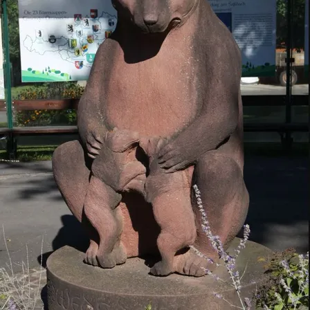 Fountain, Water, Animal, Zoo, Bear, Mammal, Wildlife, Elephant