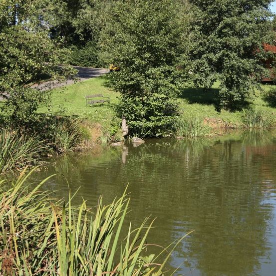 Bild enthält, Nature, Outdoors, Pond, Water, Vegetation, Grass, Scenery, Land, Tree, Woodland