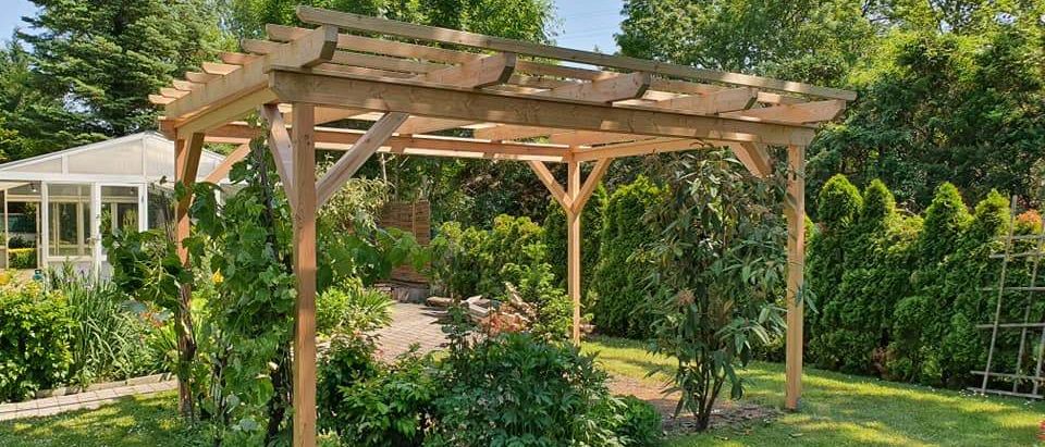 Ein hölzernes Pergola steht in einem üppigen Garten und bietet Schatten und eine natürliche Atmosphäre mit grünen Pflanzen und Bäumen.