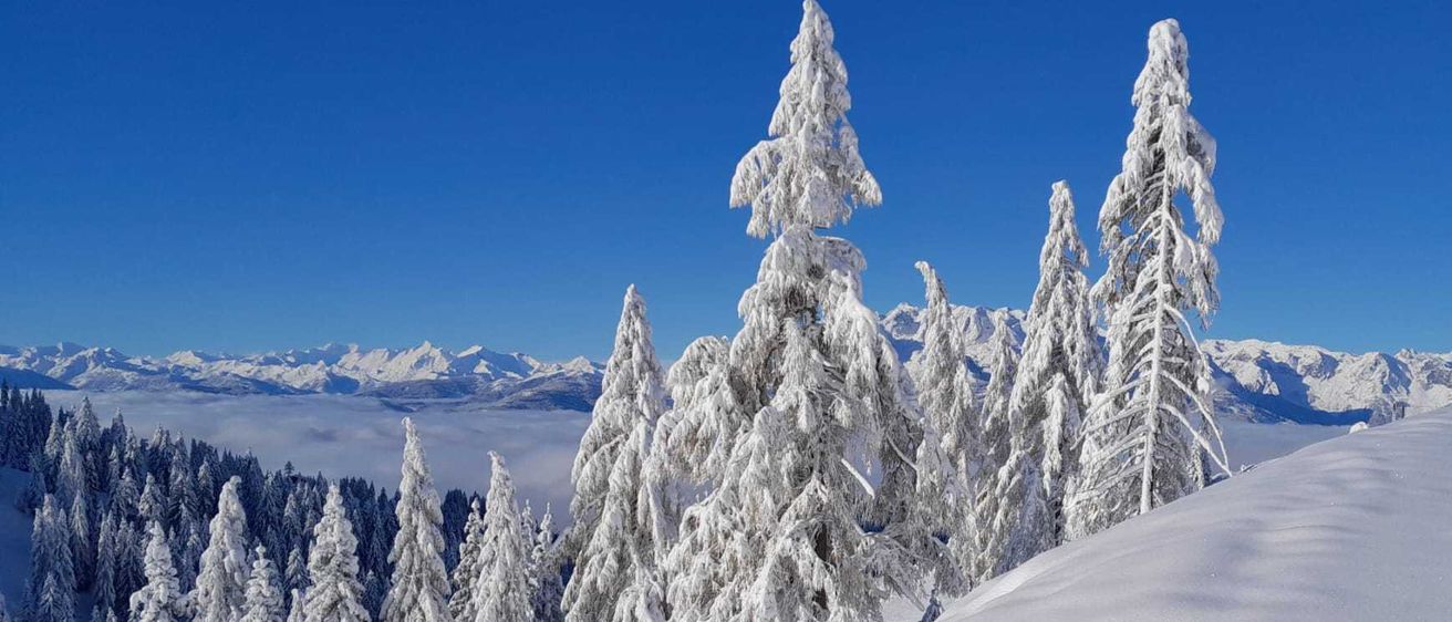 Bild enthält, Tree, Fir, Nature, Outdoors, Scenery, Mountain, Mountain Range, Peak, Vegetation, Landscape