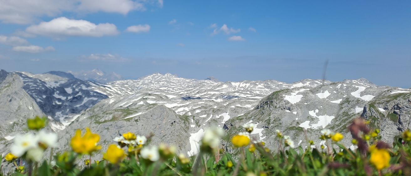 A scenic view of mountains under a blue sky with scattered clouds. Snow-capped peaks and lush green fields with yellow flowers.