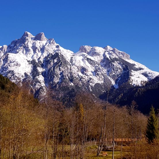 Eine verschneite Bergkette unter einem klaren blauen Himmel mit Bäumen und einer Holzbrücke im Vordergrund.