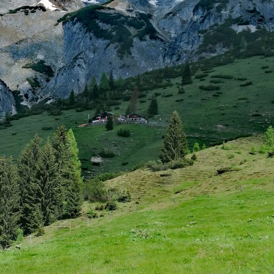 Ein großes Grasfeld mit Bäumen und einem Haus im Hintergrund, in der Nähe des Gebirgszugs. Das Haus hat Fahnen davor.