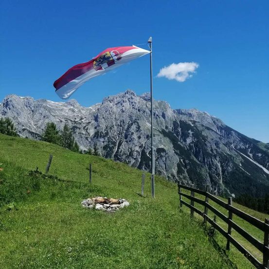 Eine Flagge mit einem Wappen weht auf einem Mast inmitten einer grünen Weide mit einem Holzzaun und Bergen im Hintergrund.