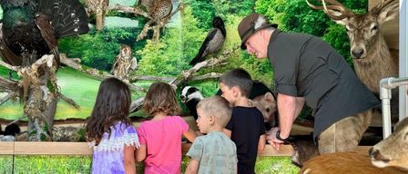 Ein Mann mit Hut zeigt Kindern eine Ausstellung verschiedener Tiere, darunter Eulen, ein Fuchs und Hirsche.