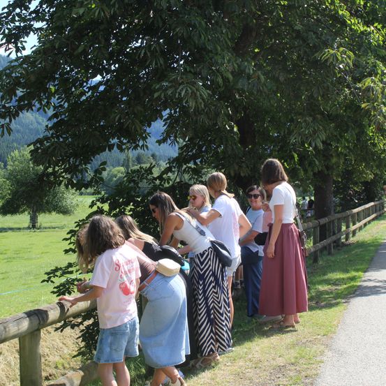 Eine Gruppe von Frauen steht an einem Holzzaun und blickt über ein Grasfeld mit Bäumen und Bergen im Hintergrund.