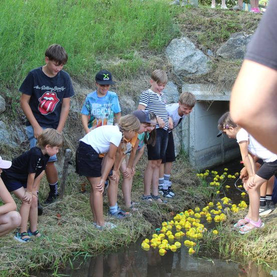 Eine Gruppe von Kindern versammelt sich um einen kleinen Bach und schaut auf gelbe Enten, die im Wasser schwimmen. Einige der Kinder tragen Mützen und Turnschuhe.