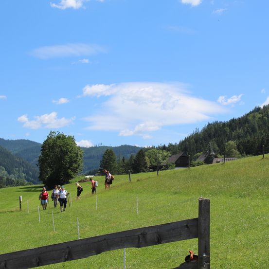 Eine Gruppe von Wanderern geht auf einem grasbewachsenen Hügel mit einem Holzzaun, unter einem blauen Himmel mit verstreuten Wolken. Im Hintergrund befinden sich Berge und Bäume.