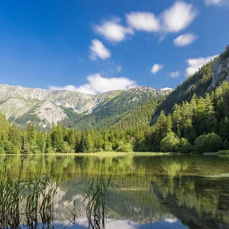 Ein ruhiger See, umgeben von üppigem Grün und Bergen unter einem blauen Himmel mit flauschigen Wolken.
