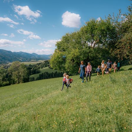 Eine Gruppe von Menschen, die auf einem Grashügel mit Blick auf die Berge und Bäume spazieren.