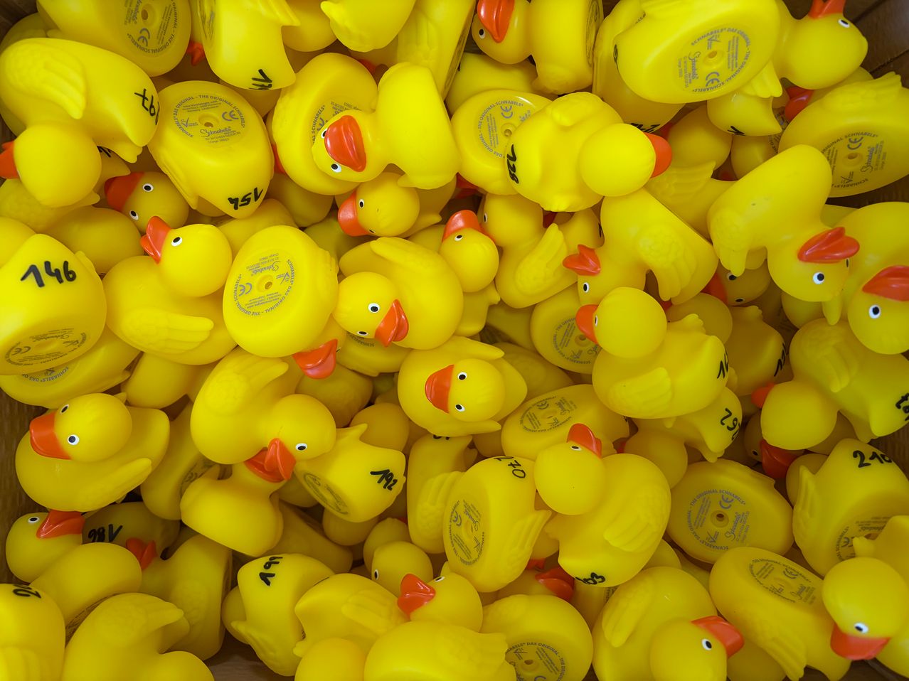 Ein Haufen gelber Gummienten mit roten Schnäbeln und schwarzen Markierungen ist übereinander gestapelt. Die Enten haben das Wort 'ASL' auf ihren Körpern aufgedruckt.