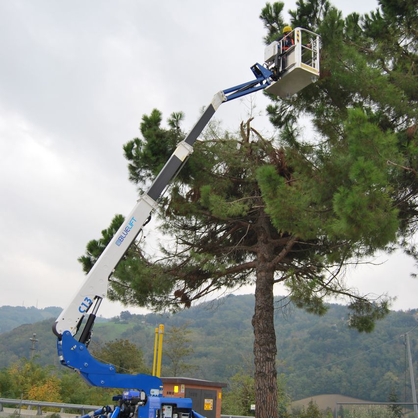 A person wearing a yellow helmet is in a bucket lift, trimming the branches of a tall pine tree. The lift is labeled 'BlueLift'. The scene is set in a mountainous area with green foliage and a cloudy sky.