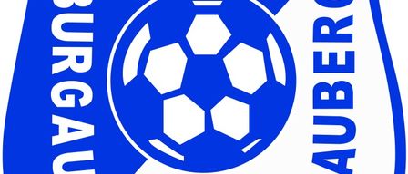 Das blau-weiße Logo zeigt einen Fußball mit Sechsecken, mit dem Text 'USV Burgauberg-Neudauberg' in einer schildartigen Form.