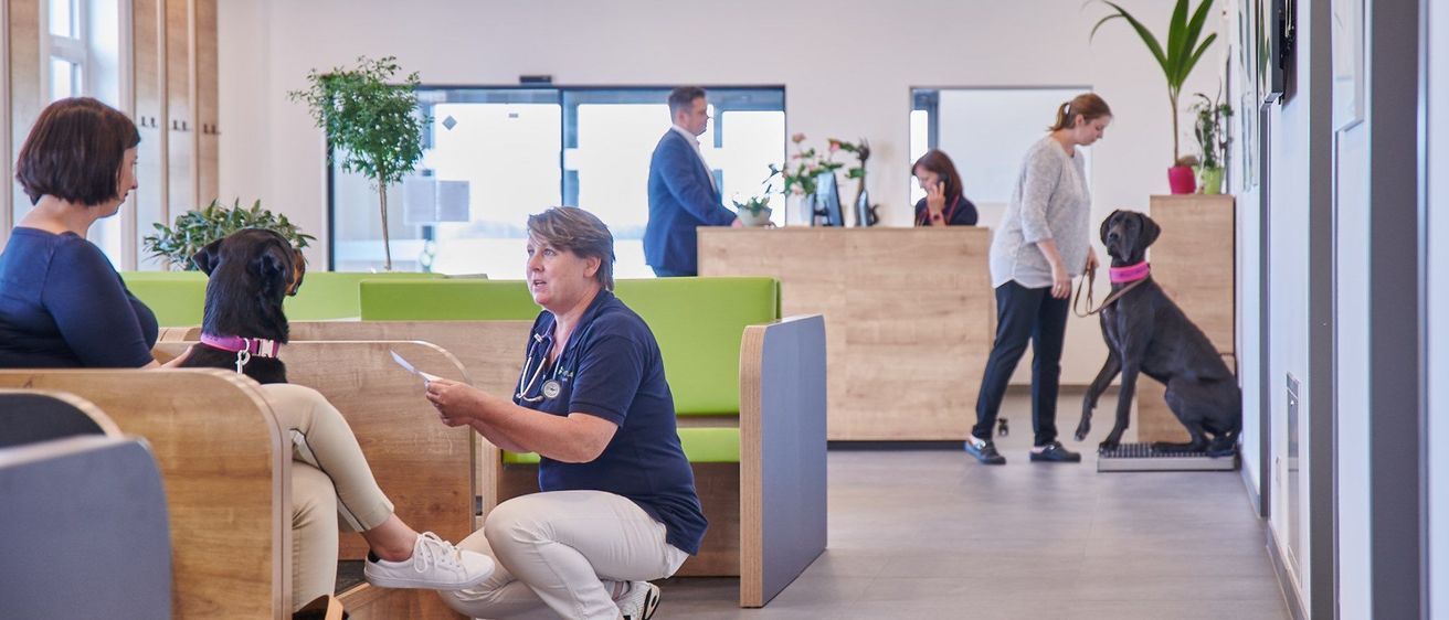 Eine Tierklinik, in der eine Mitarbeiterin einen Hund untersucht, während ein anderer Hund in der Nähe wartet. Eine Frau führt ihren Hund am Empfang vorbei, und andere sind drinnen.