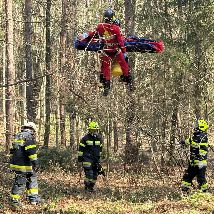 Ein Rettungsteam im Wald. Eine Person ist in der Luft und hält eine Trage mit einer Person darauf, während drei andere am Boden stehen.