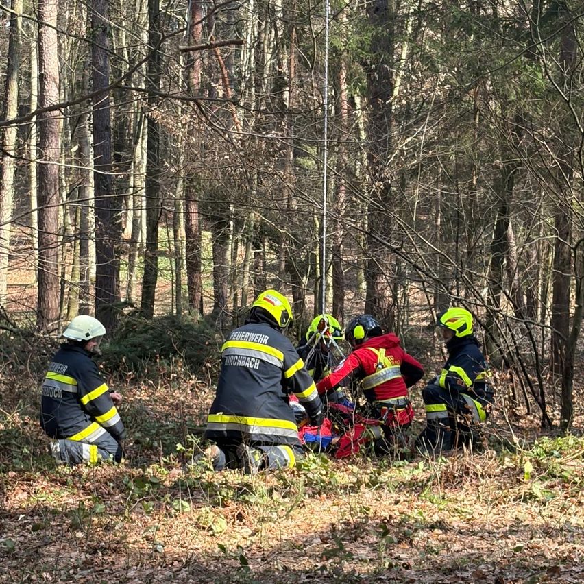 Eine Gruppe von Feuerwehrleuten in gelben und schwarzen Uniformen befindet sich in einem Wald und kümmert sich um eine verletzte Person, die auf dem Boden liegt.