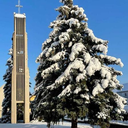 Bild enthält, Tree, Fir, Pine, Christmas, Christmas Decorations, Festival