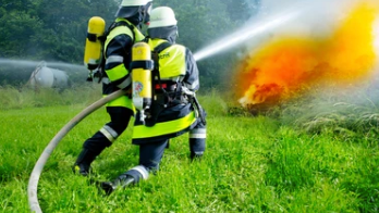 v1_migrated_image_84128450