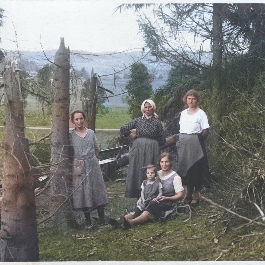 Bild enthält, Vegetation, Tree, Adult, Female, Person, Woman, Wilderness, Woodland, People, Portrait