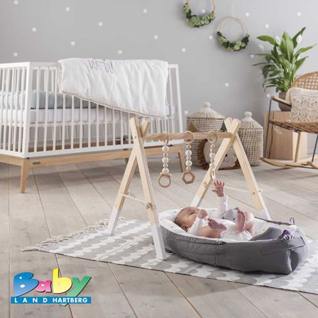 babylandhartberg-traeumeland-home