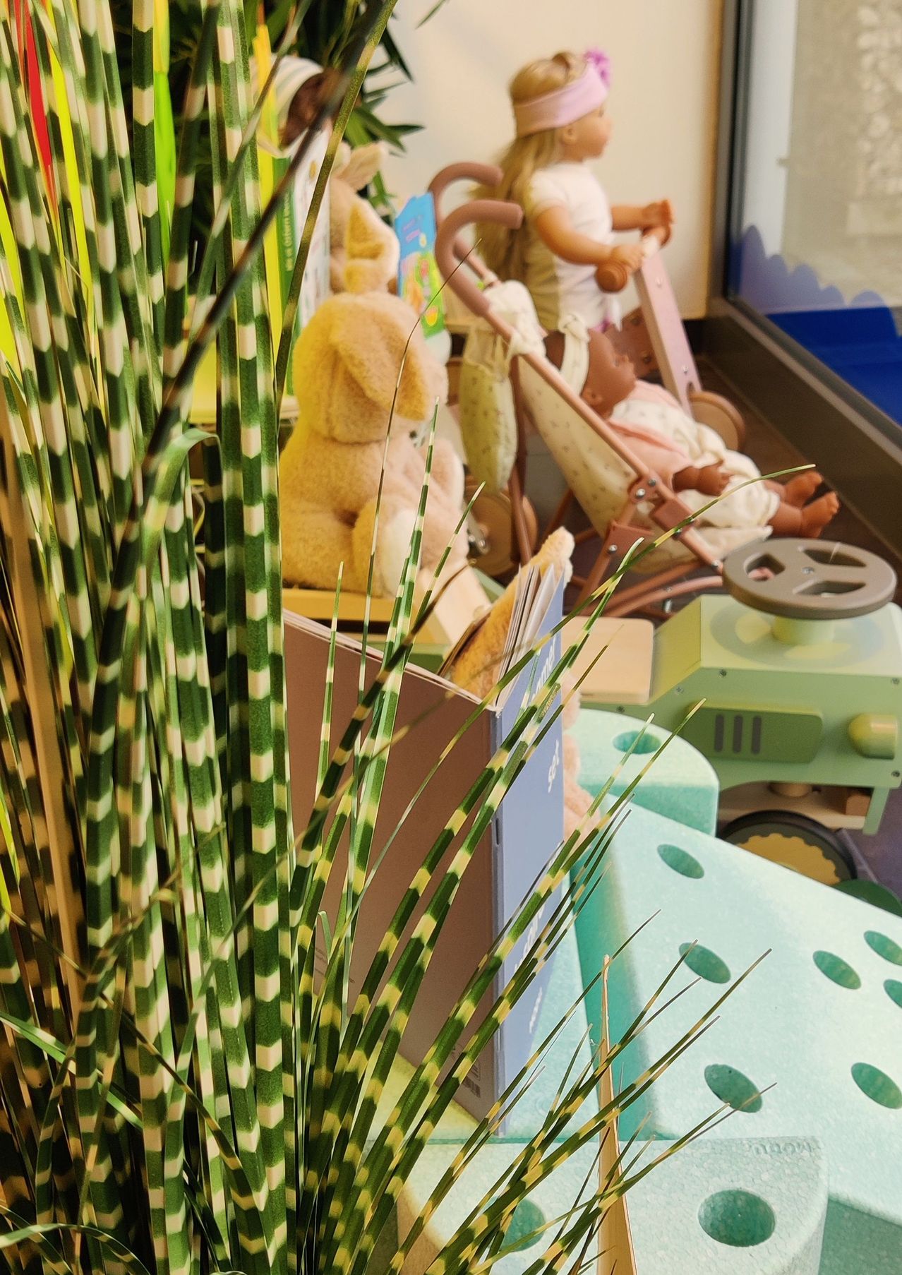 Nahaufnahme einer grün-weißen Pflanze mit Spielzeug im Hintergrund.