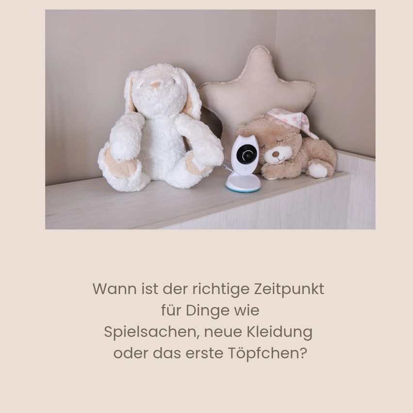 Drei Plüschtiere auf einem Regal, ein weißer Hase, ein brauner Bär und eine Babykamera. Der Hintergrund ist neutral mit einem kleinen Textüberlager.