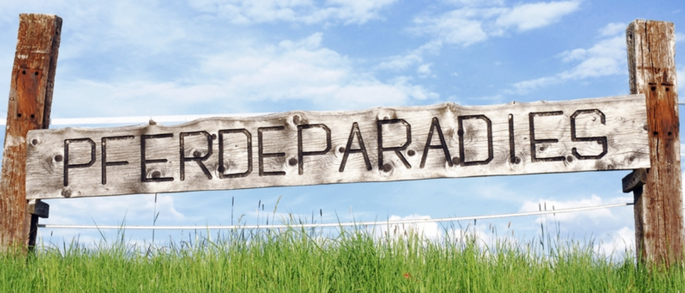 Ein Holzschild mit der Aufschrift "PERDEPARADIES" über einem üppigen grünen Feld mit blauem Himmel im Hintergrund.