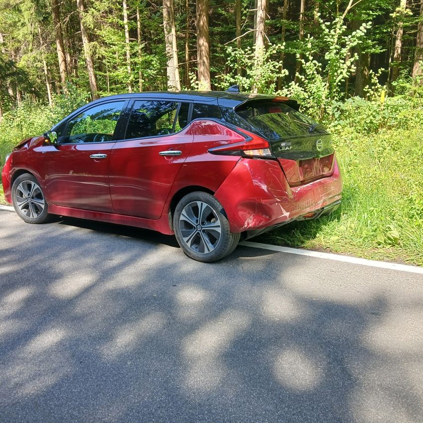 Ein roter Nissan Leaf ist am Straßenrand geparkt, mit einem Wald im Hintergrund.