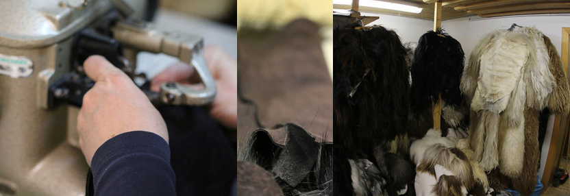 Bild enthält, Person, Animal, Canine, Dog, Mammal, Pet, Bird, Gun, Weapon