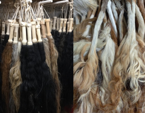 Bild enthält, Animal, Canine, Dog, Mammal, Pet, Clothing, Fur