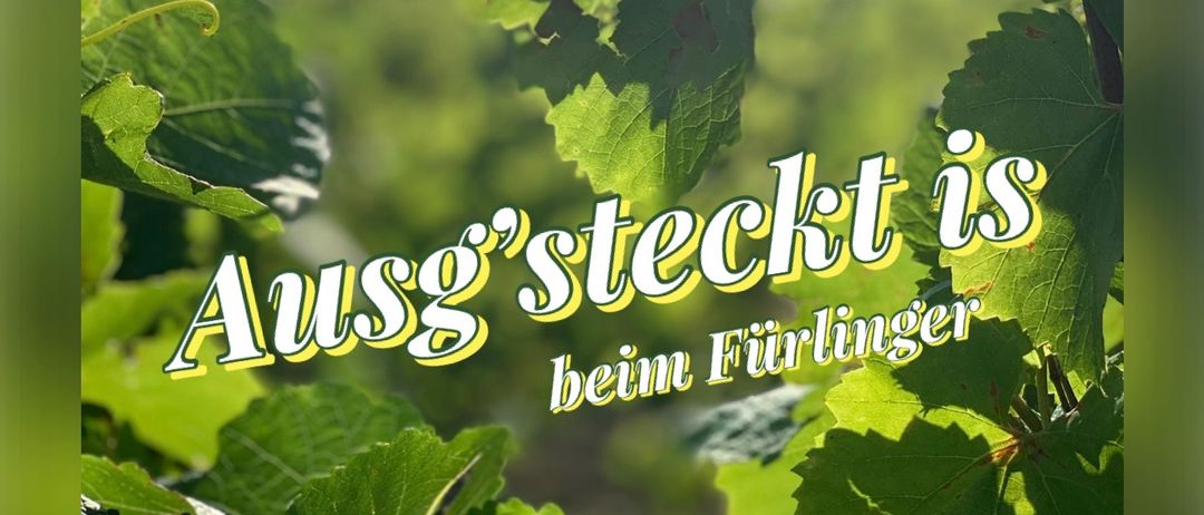 Ein Weinberg mit grünen Blättern und einem Drahtzaun. Textüberlagerung: Ausgesteckt is beim Fürlinger, 2. bis 15. Juli 2026.