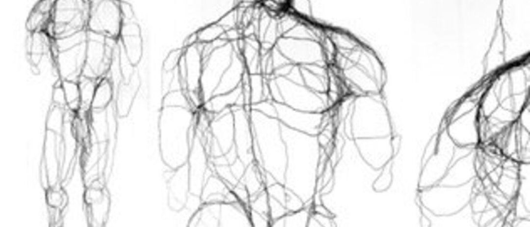 Eine Schwarz-Weiß-Zeichnung einer menschlichen Figur mit detaillierten anatomischen Linien, die Muskeln und Knochen zeigen.