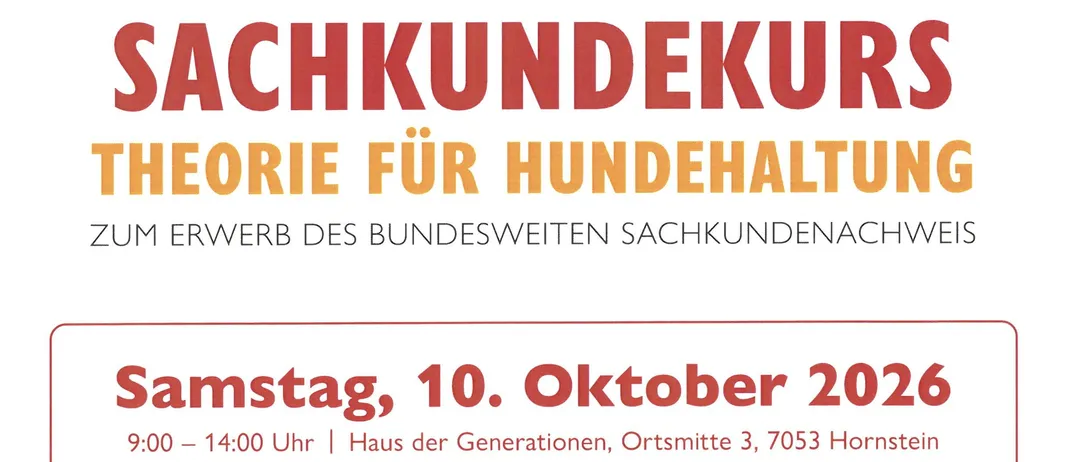 Plakat für einen Sachkundekurs für Hundehaltung, geplant für Samstag, 10. Oktober 2026, von 9:00 bis 14:00 im Haus der Generationen, Ort Mitte 3, 7053 Hornstein. Der Kurs behandelt Überlegungen zur Hundeanschaffung, Pflege, Training, Sozialisierung, Kommunikation, sicheren Umgang und mehr. Die Kosten betragen 100 Euro pro Person.