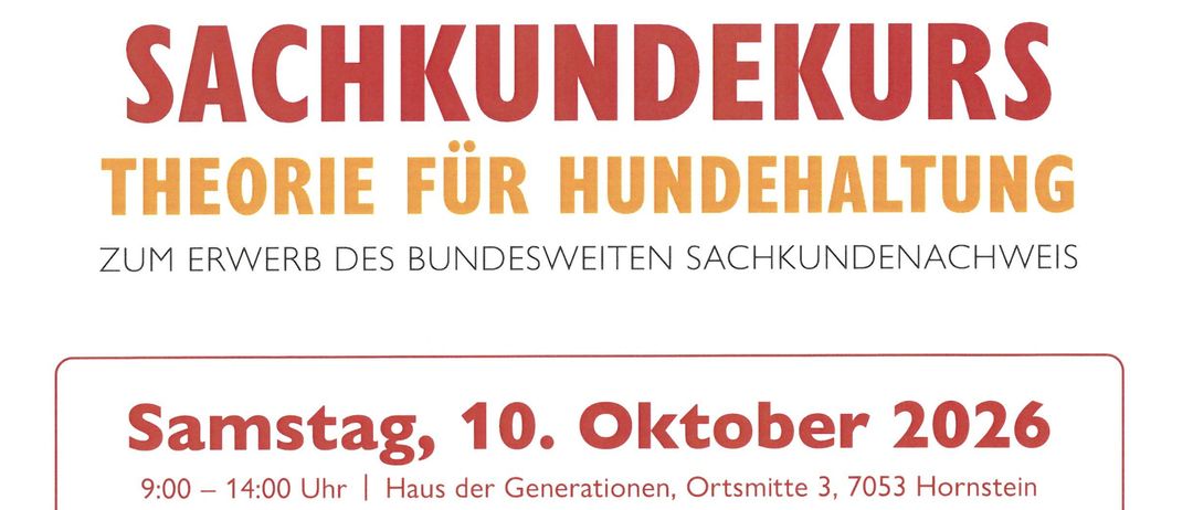 Plakat für einen Sachkundekurs für Hundehaltung, geplant für Samstag, 10. Oktober 2026, von 9:00 bis 14:00 im Haus der Generationen, Ort Mitte 3, 7053 Hornstein. Der Kurs behandelt Überlegungen zur Hundeanschaffung, Pflege, Training, Sozialisierung, Kommunikation, sicheren Umgang und mehr. Die Kosten betragen 100 Euro pro Person.