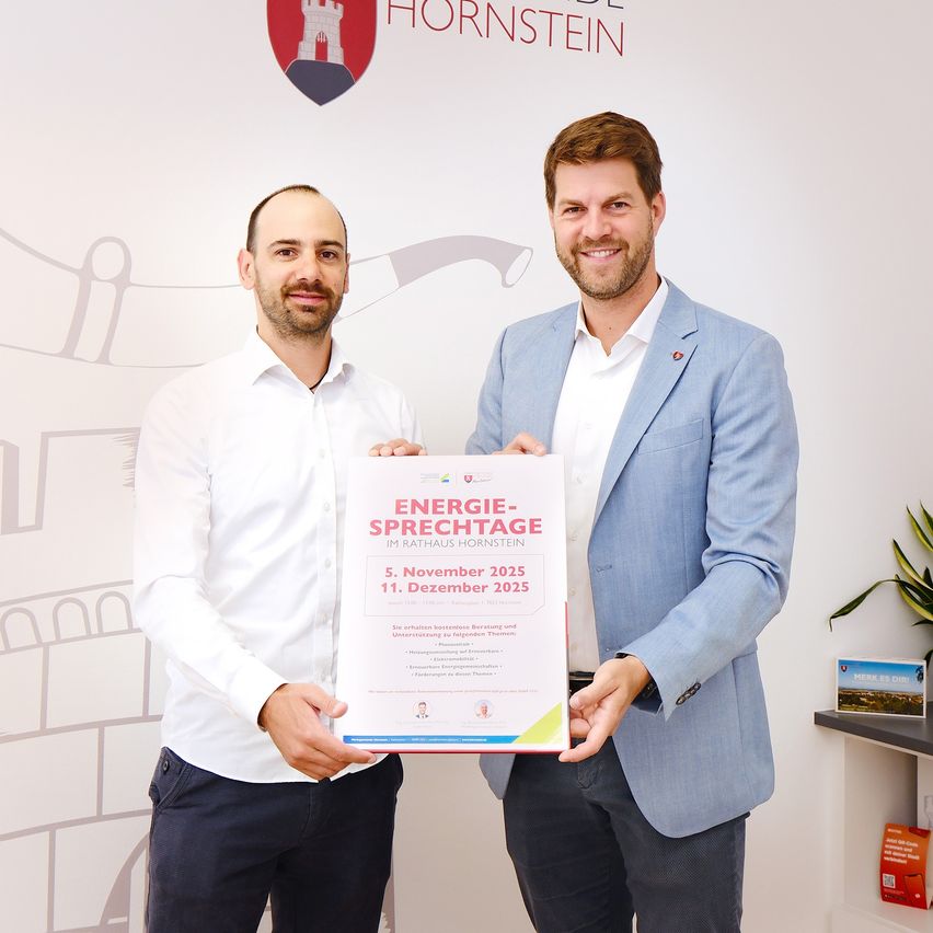 Two men stand in front of a wall with a Hornstein logo. They hold a certificate titled 'Energie-Sprechtag im Rathaus Hornstein' with dates November 5 and December 11, 2025.