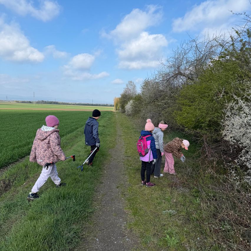 A group of children in winter clothes walk on a path with a hedge, some bending down to pick something up.
