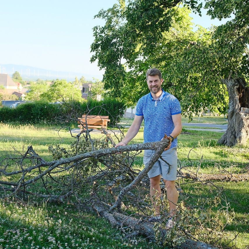 Ein Mann steht in einem Park, hält einen großen Ast in der Hand, mit einer Bank und einem Baum im Hintergrund.