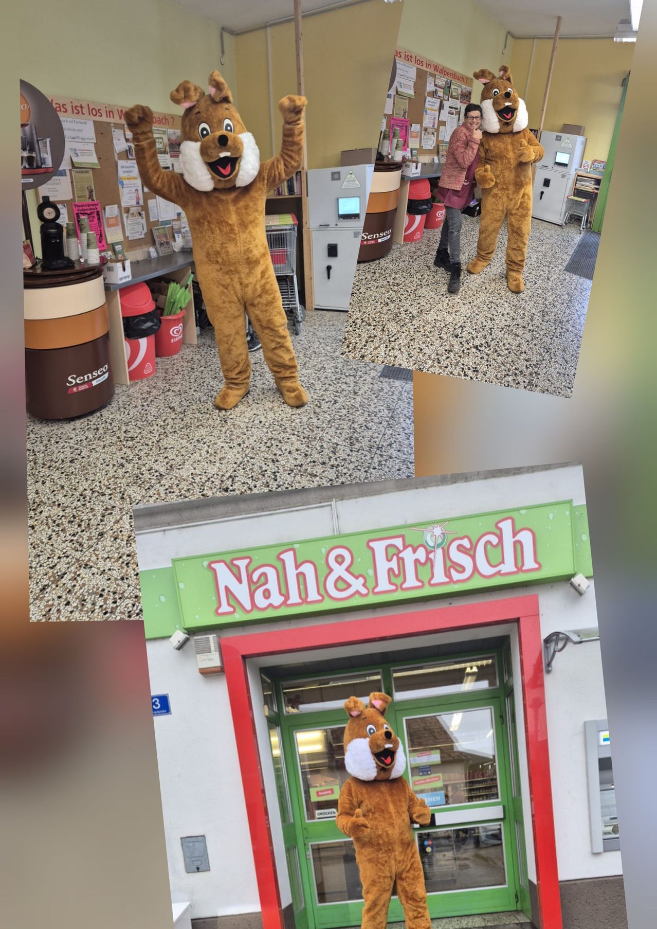 Ein Geschäft mit dem Schild Nah & Frisch. Ein Maskottchen in einem Bärenkostüm steht vor der Tür.