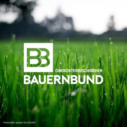 Bild enthält, Grass, Plant, Lawn, Field, Vegetation, Green, Outdoors, Nature