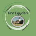 Pro Egyden-Logo