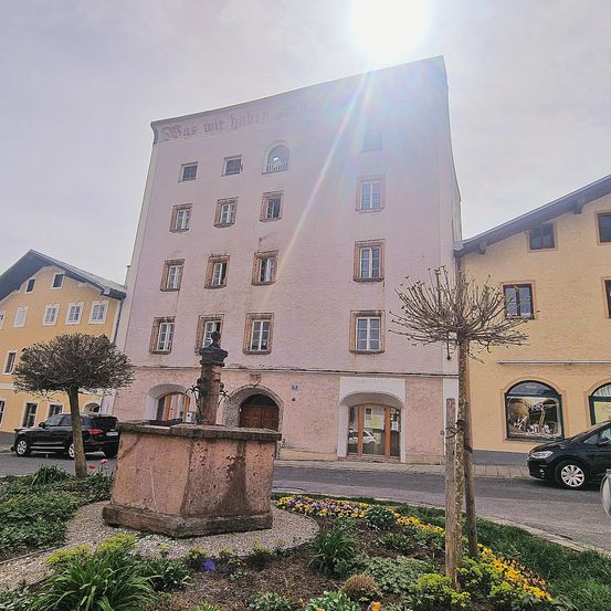 Ein rosafarbenes Gebäude mit mehreren Fenstern steht in einer Stadt neben einem Brunnen und einem Garten. Eine Straße mit geparkten Autos verläuft neben dem Gebäude. Der Himmel ist bewölkt.
