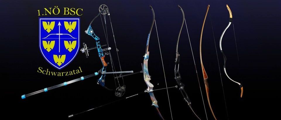 Bild enthält, Weapon, Bow, Archery, Sport, Archer, Person