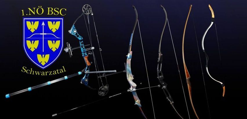 Bild enthält, Weapon, Bow, Archery, Sport, Archer, Person