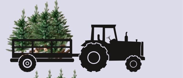 Bild enthält, Plant, Tree, Pine, Machine, Wheel, Fir, Bulldozer, Vegetation