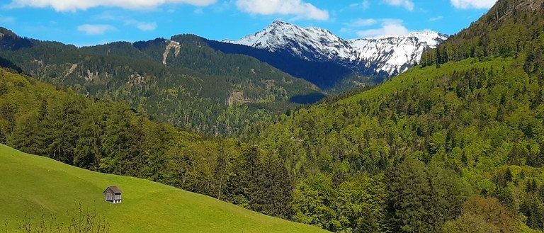 Bild enthält, Nature, Outdoors, Scenery, Grass, Tree, Countryside, Landscape, Vegetation, Mountain, Rural
