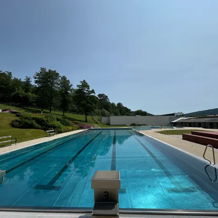 Ein Freibad mit klarem blauem Wasser und schwarzen Bahnlinien. Bäume und Grünflächen umgeben das Becken, mit Bänken und einer weißen Wand im Hintergrund.