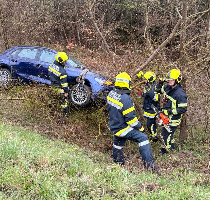 Vier Feuerwehrleute schneiden Äste mit Kettensägen. Einer steht neben einem blauen Auto, ein anderer steht auf dem Boden und die beiden anderen stehen auf Ästen.