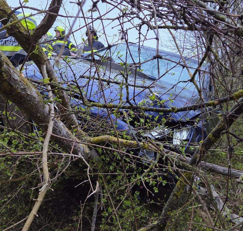 Rettungskräfte untersuchen ein beschädigtes Auto, das in einem Wald stecken geblieben ist, wobei drei Personen gelbe Helme und Uniformen tragen.