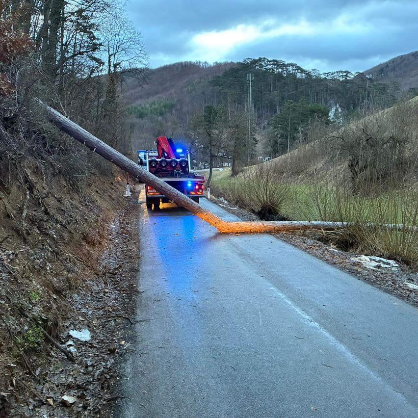 Eine Straße mit einem umgestürzten Baum am Straßenrand, ein Abschleppwagen mit blinkenden Lichtern entfernt ihn. Die Straße ist von Bäumen und Büschen umgeben. In der Ferne befindet sich ein Gebirgszug.